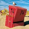 Strandkorb mit Möwe auf Langeoog © Kurverwaltung Langeoog