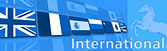 Niedersachsen International