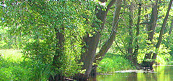 Leineufer - grafolux