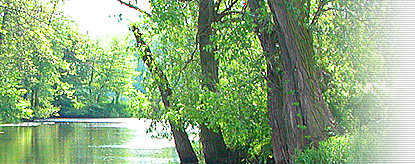 Leineufer - grafolux