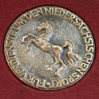 Niedersächsische Sportmedaille