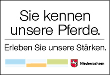 Innovatives Niedersachsen