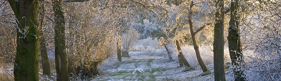 Winterweg © TourismusMarketing Niedersachsen GmbH (TMN) / Peter Münkner 