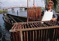 Fischerin mit geräucherten Aalen am Steinhuder Meer