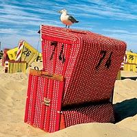 Langeoog: Strandkorb mit Möwe