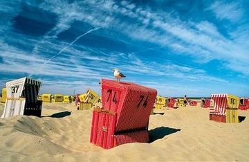 Langeoog: Strandkorb mit Möwe