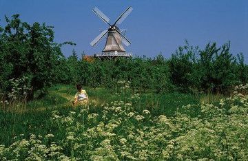 Borsteler Mühle im Alten Land