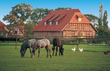 Bauernhof mit Pferden in der Region Mittelweser