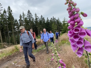 75 Jahre Niedersachsen - Wanderung Ith-Hils-Weg