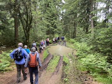 75 Jahre Niedersachsen - Wanderung Ith-Hils-Weg