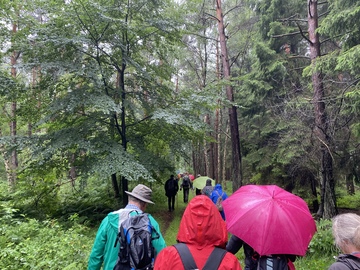 75 Jahre Niedersachsen - Wanderung Nordpfad Dör’t Moor