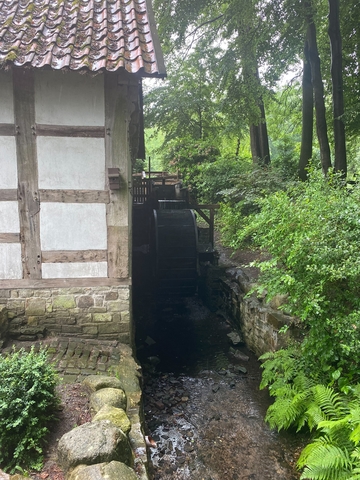 75 Jahre Niedersachsen - Wanderung Hünenweg