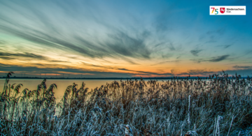 Fotokalender 75 Jahre Niedersachsen; Sonnenuntergang im Winter in Hüde am Dümmer