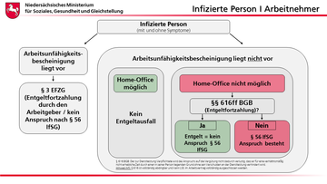 Infografik: § 56 IfSG