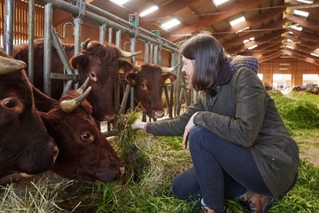 Landwirtschaftsministerin Miriam Staudte mit Kühen auf dem Biohof Wyrwa