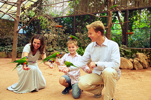 Weltvogelpark Walsrode