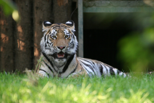 Zoo Braunschweig