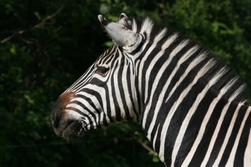 Tierpark Essehof