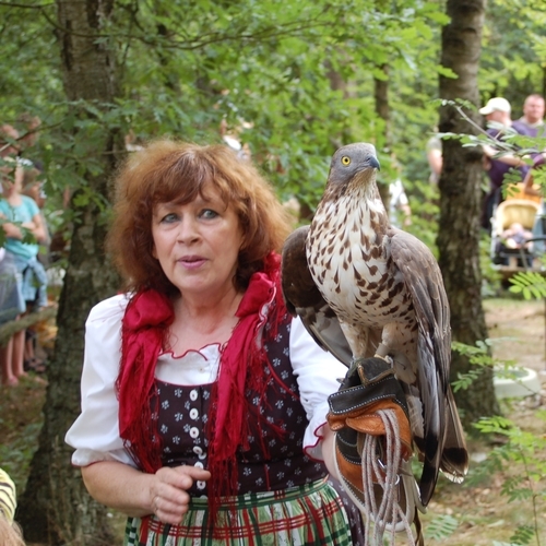 Greifvogel Gehege Bispingen