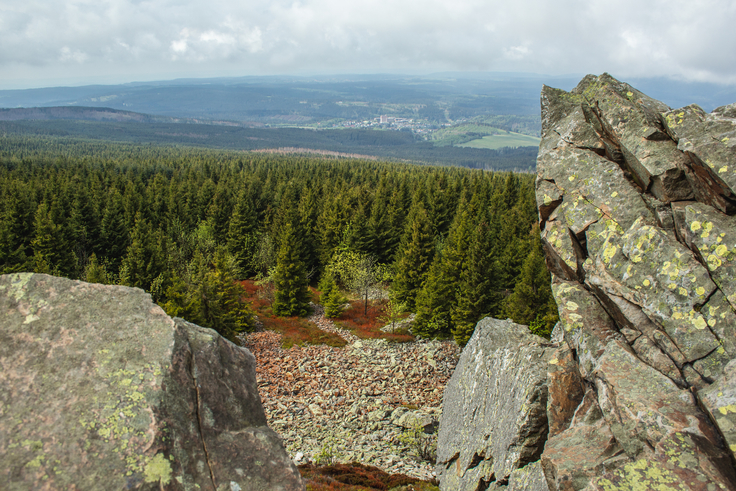 Wolfswarte am Bruchberg, Harz