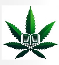 Symbolgrafik: Übersicht der Themen (Konsumcannabisgesetzt)