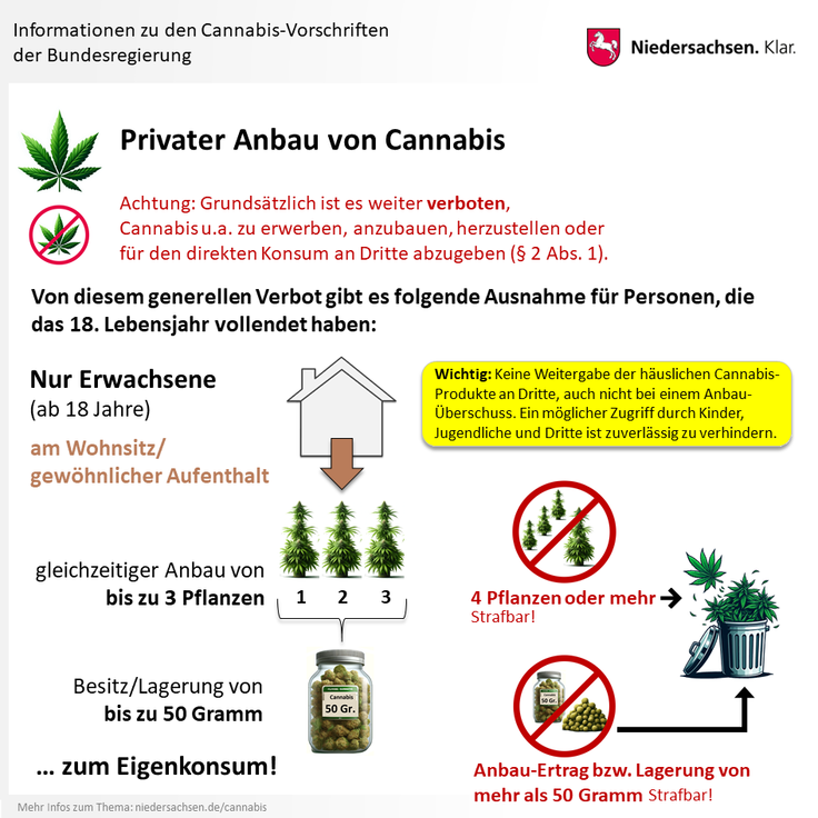 Infografik: Privater Anbau von Cannabis