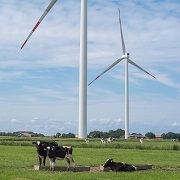 Niedersachsen schützt Natur und Umwelt.