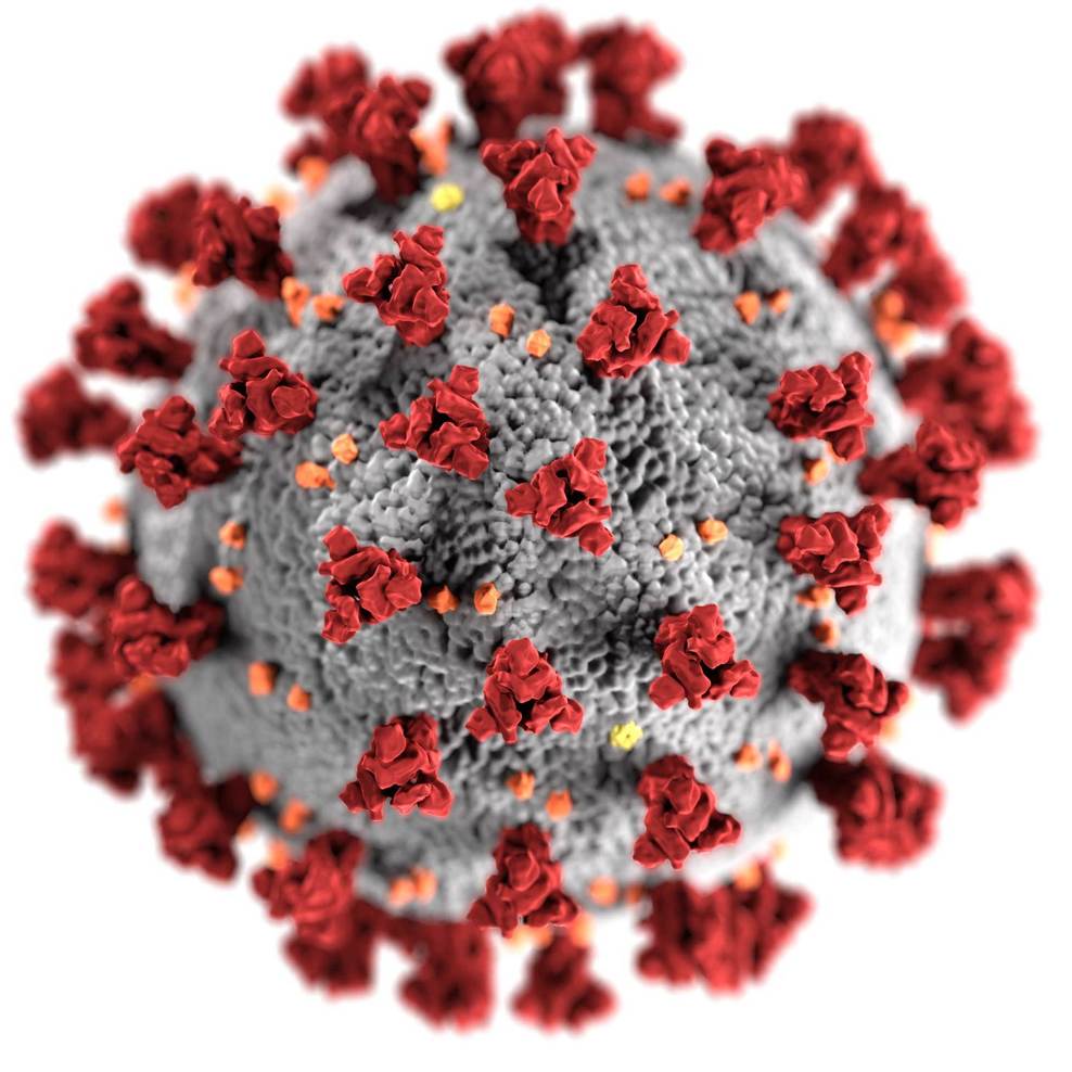 3D-Grafik des SARS-CoV-2-Virions
