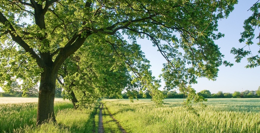 Ein Foto zeigt eine Landschaft im Frühjahr (Symbolbild)