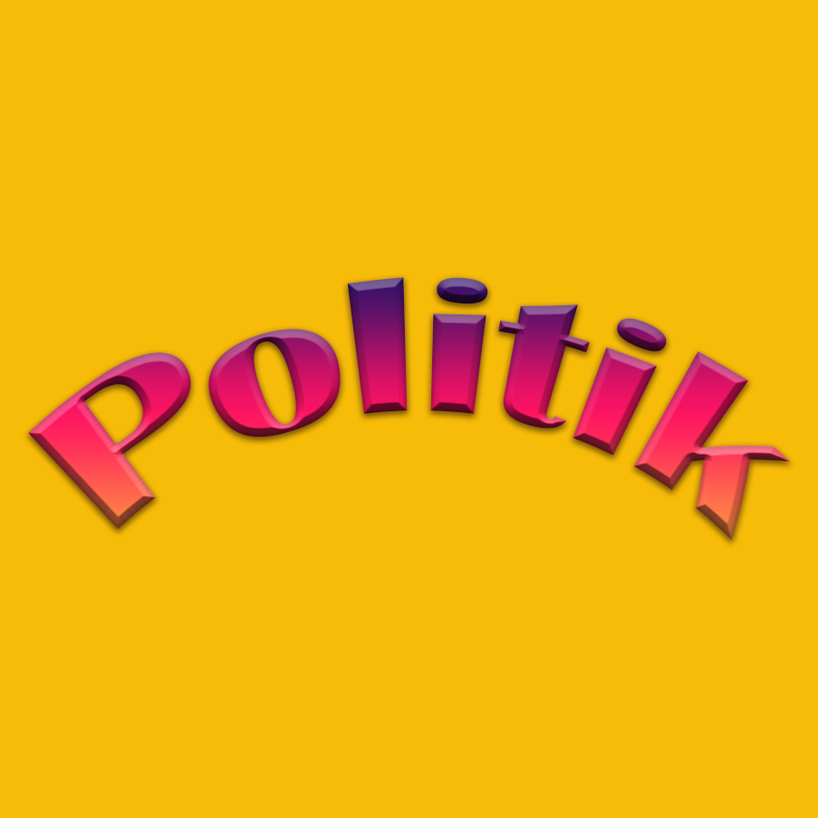 Schriftzug Politik
