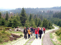 Wanderer im Harz